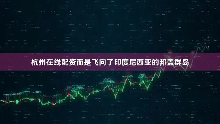 杭州在线配资而是飞向了印度尼西亚的邦盖群岛