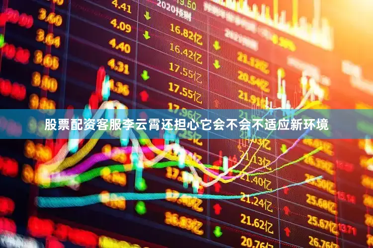 股票配资客服李云霄还担心它会不会不适应新环境